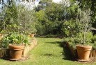 Wirrullavegetable-gardens-3.jpg; ?>